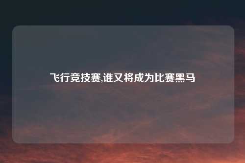 飞行竞技赛,谁又将成为比赛黑马