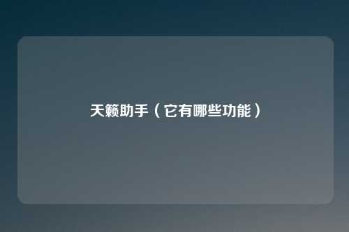 天籁助手（它有哪些功能）