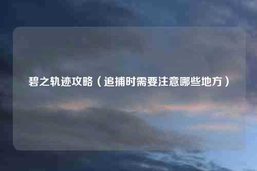 碧之轨迹攻略(追捕时需要注意哪些地方)