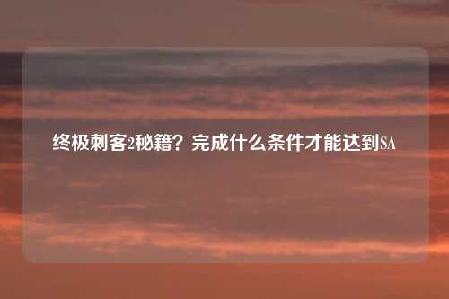 终极刺客2秘籍？完成什么条件才能达到SA