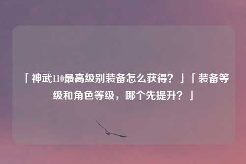 「神武110最高级别装备怎么获得？」「装备等级和角色等级，哪个先提升？」