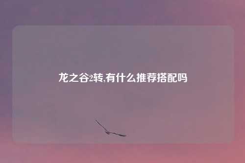 龙之谷2转,有什么推荐搭配吗