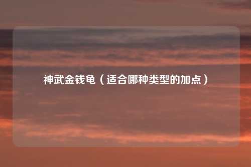 神武金钱龟（适合哪种类型的加点）