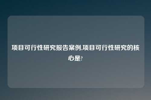 项目可行性研究报告案例,项目可行性研究的核心是?