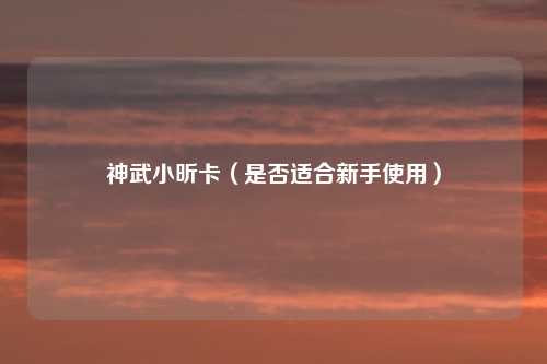 神武小昕卡（是否适合新手使用）