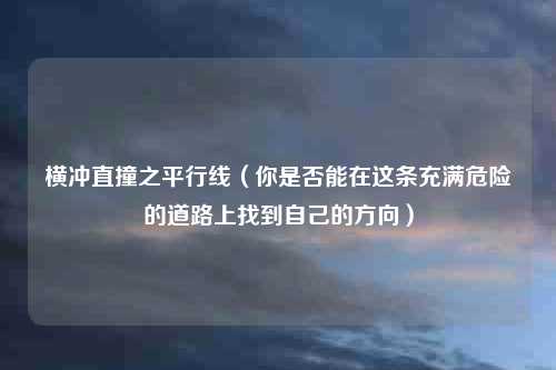 横冲直撞之平行线（你是否能在这条充满危险的道路上找到自己的方向）
