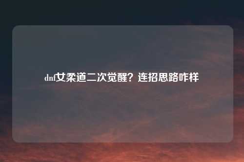 dnf女柔道二次觉醒？连招思路咋样