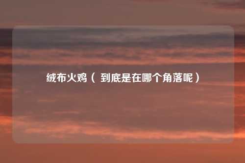 绒布火鸡（ 到底是在哪个角落呢）