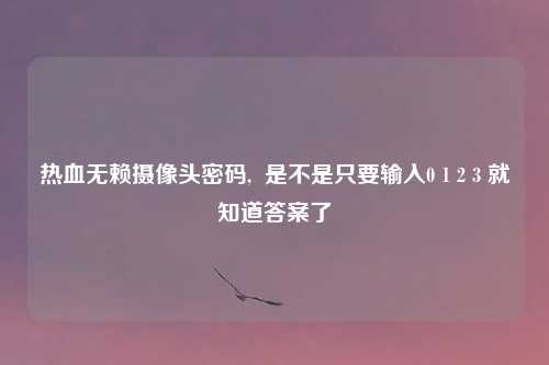 热血无赖摄像头密码,  是不是只要输入0 1 2 3 就知道答案了