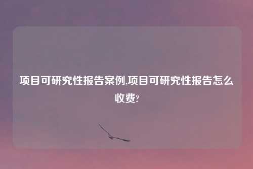 项目可研究性报告案例,项目可研究性报告怎么收费?