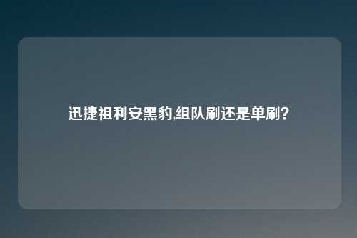 迅捷祖利安黑豹,组队刷还是单刷?