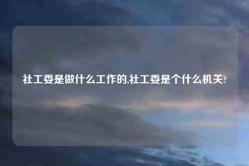 社工委是做什么工作的,社工委是个什么机关?
