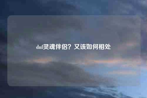 dnf灵魂伴侣？又该如何相处