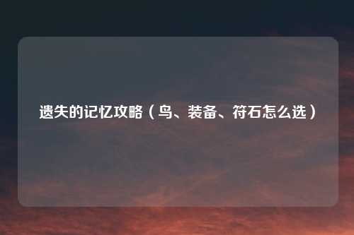 遗失的记忆攻略（鸟、装备、符石怎么选）