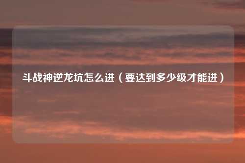 斗战神逆龙坑怎么进(要达到多少级才能进)