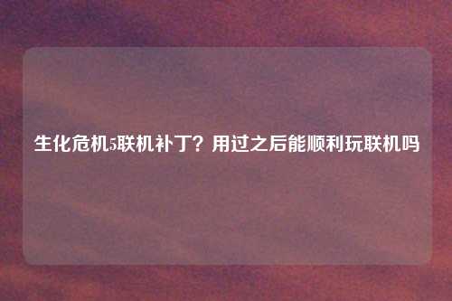 生化危机5联机补丁?用过之后能顺利玩联机吗