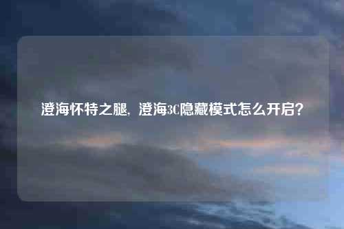 澄海怀特之腿,  澄海3C隐藏模式怎么开启？