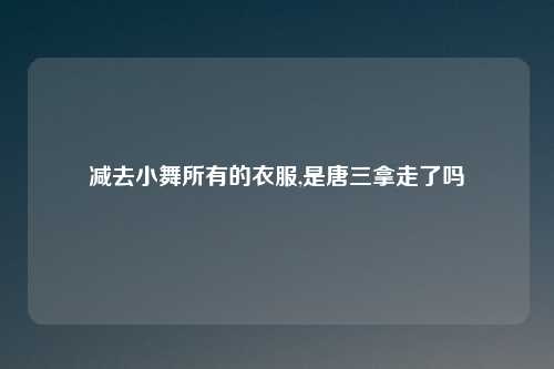 减去小舞所有的衣服,是唐三拿走了吗