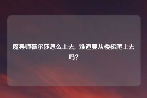 魔导师薇尔莎怎么上去,  难道要从楼梯爬上去吗？