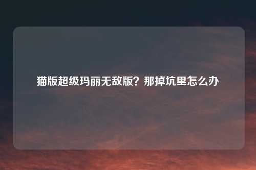 猫版超级玛丽无敌版？那掉坑里怎么办