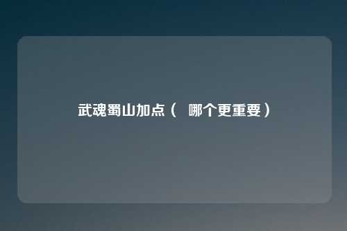 武魂蜀山加点( 哪个更重要)
