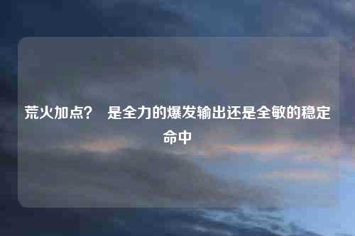 荒火加点？  是全力的爆发输出还是全敏的稳定命中