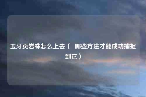 玉牙页岩蛛怎么上去( 哪些方法才能成功捕捉到它)