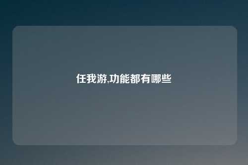 任我游,功能都有哪些