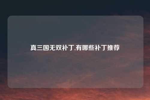 真三国无双补丁,有哪些补丁推荐