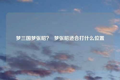 梦三国梦张昭? 梦张昭适合打什么位置