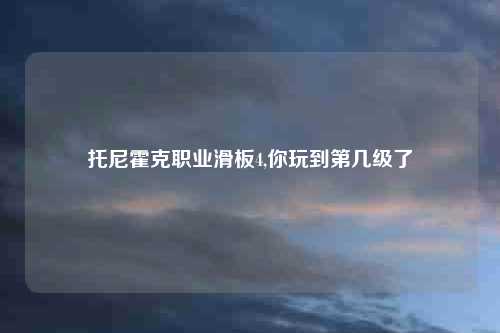 托尼霍克职业滑板4,你玩到第几级了