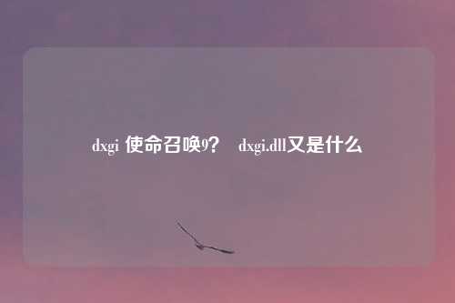dxgi 使命召唤9？  dxgi.dll又是什么