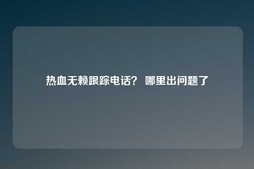 热血无赖跟踪电话？ 哪里出问题了