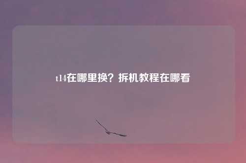 t14在哪里换？拆机教程在哪看