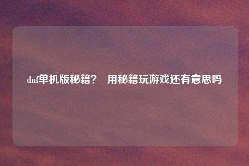 dnf单机版秘籍？  用秘籍玩游戏还有意思吗
