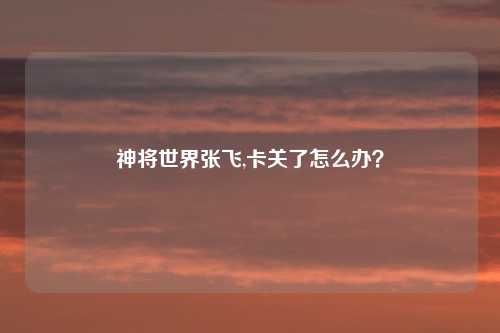 神将世界张飞,卡关了怎么办？