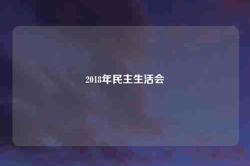 2018年民主生活会