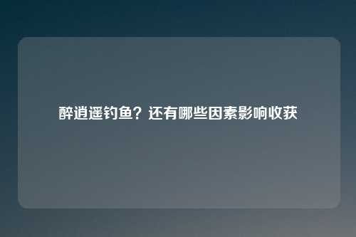 醉逍遥钓鱼?还有哪些因素影响收获