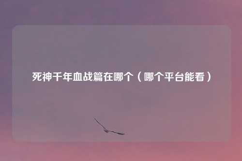 死神千年血战篇在哪个(哪个平台能看)