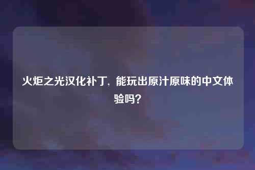 火炬之光汉化补丁, 能玩出原汁原味的中文体验吗?