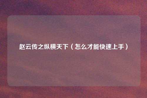 赵云传之纵横天下（怎么才能快速上手）