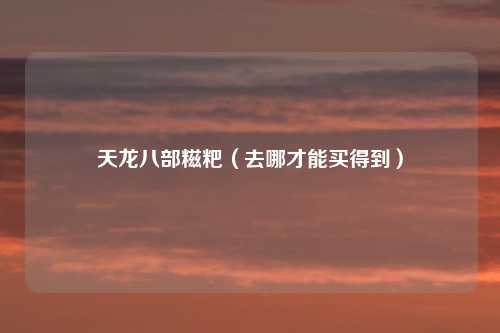 天龙八部糍粑（去哪才能买得到）