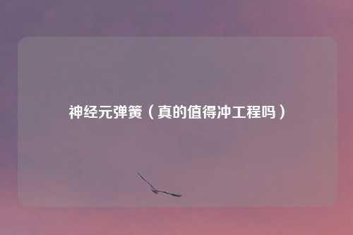 神经元弹簧（真的值得冲工程吗）