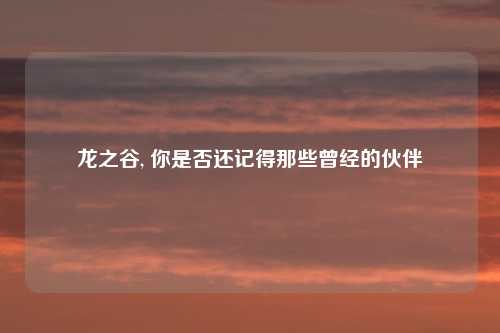 龙之谷, 你是否还记得那些曾经的伙伴