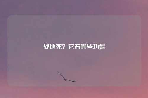 战地死?它有哪些功能