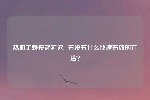 热血无赖按键延迟,  有没有什么快速有效的方法？