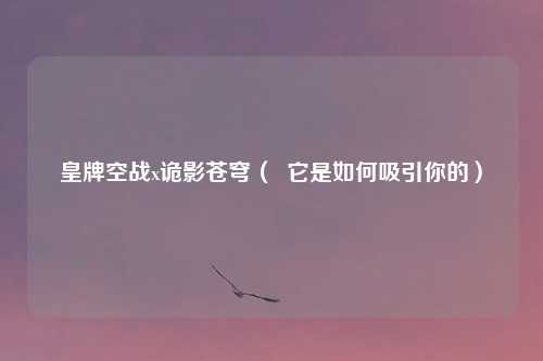 皇牌空战x诡影苍穹（  它是如何吸引你的）