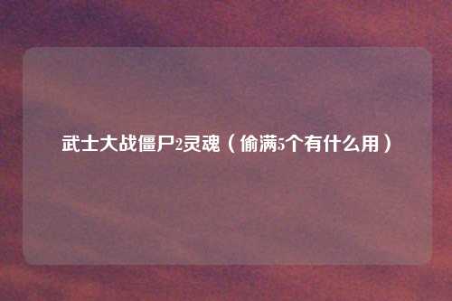 武士大战僵尸2灵魂（偷满5个有什么用）