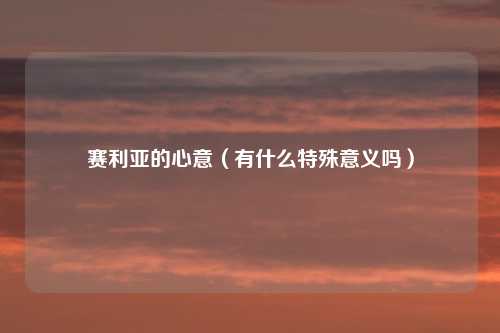 赛利亚的心意（有什么特殊意义吗）