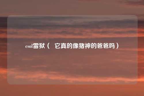 csol雷狱( 它真的像猪神的爸爸吗)